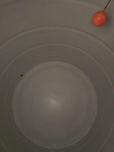 تنظيف الخزانات في قطر