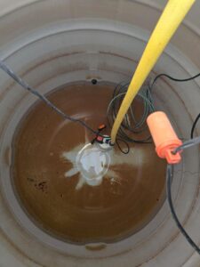 WhatsApp Image 2025-08-26 at 12.09.56 PM