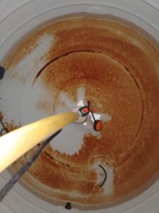 WhatsApp Image 2025-08-26 at 12.10.04 PM (1)