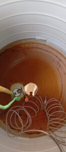 WhatsApp Image 2025-08-26 at 12.10.12 PM