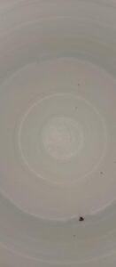 Water Filter Maintenance and Installation in Qatar