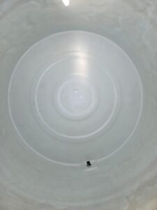 WhatsApp Image 2025-08-26 at 12.09.37 PM (1)